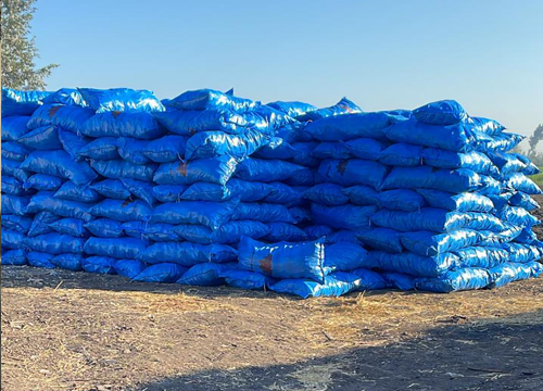 تصدير الفحم فى مصر